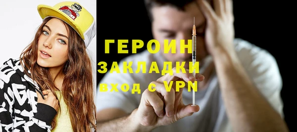 гидра Ельня