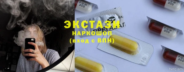 гидра Ельня
