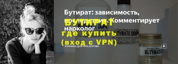 гидра Ельня