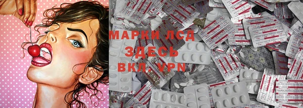 гидра Ельня