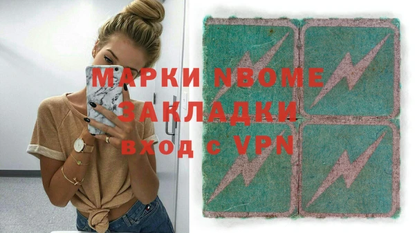 гидра Ельня
