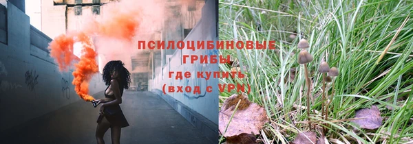 гидра Ельня