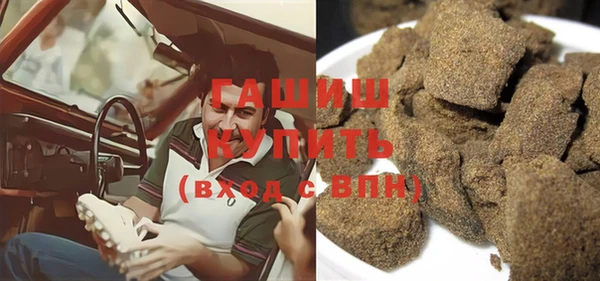 гидра Ельня