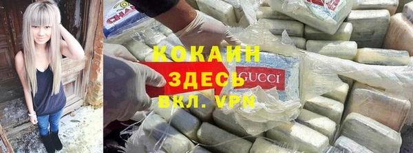 дживик Елабуга