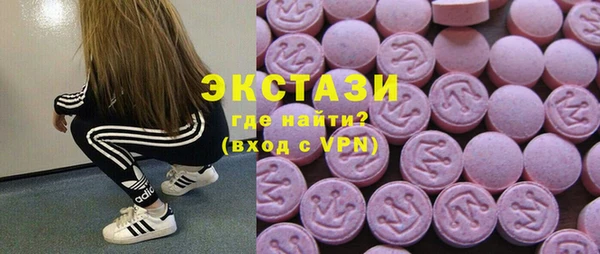 гидра Ельня
