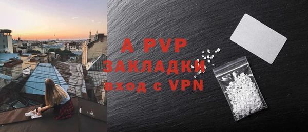 гидра Ельня