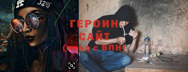 гидра Ельня