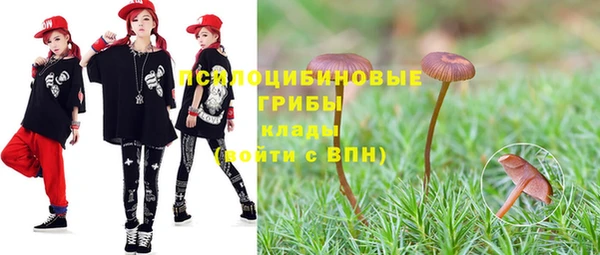 дживик Елабуга