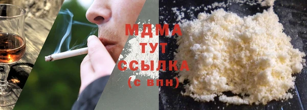 гидра Ельня