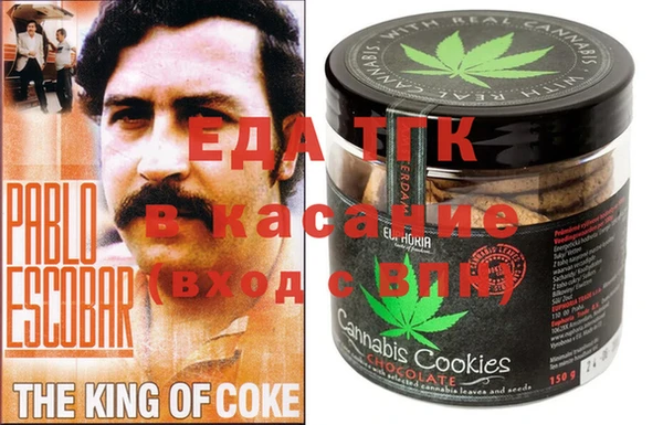 гидра Ельня