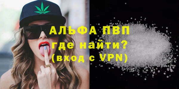 дживик Елабуга